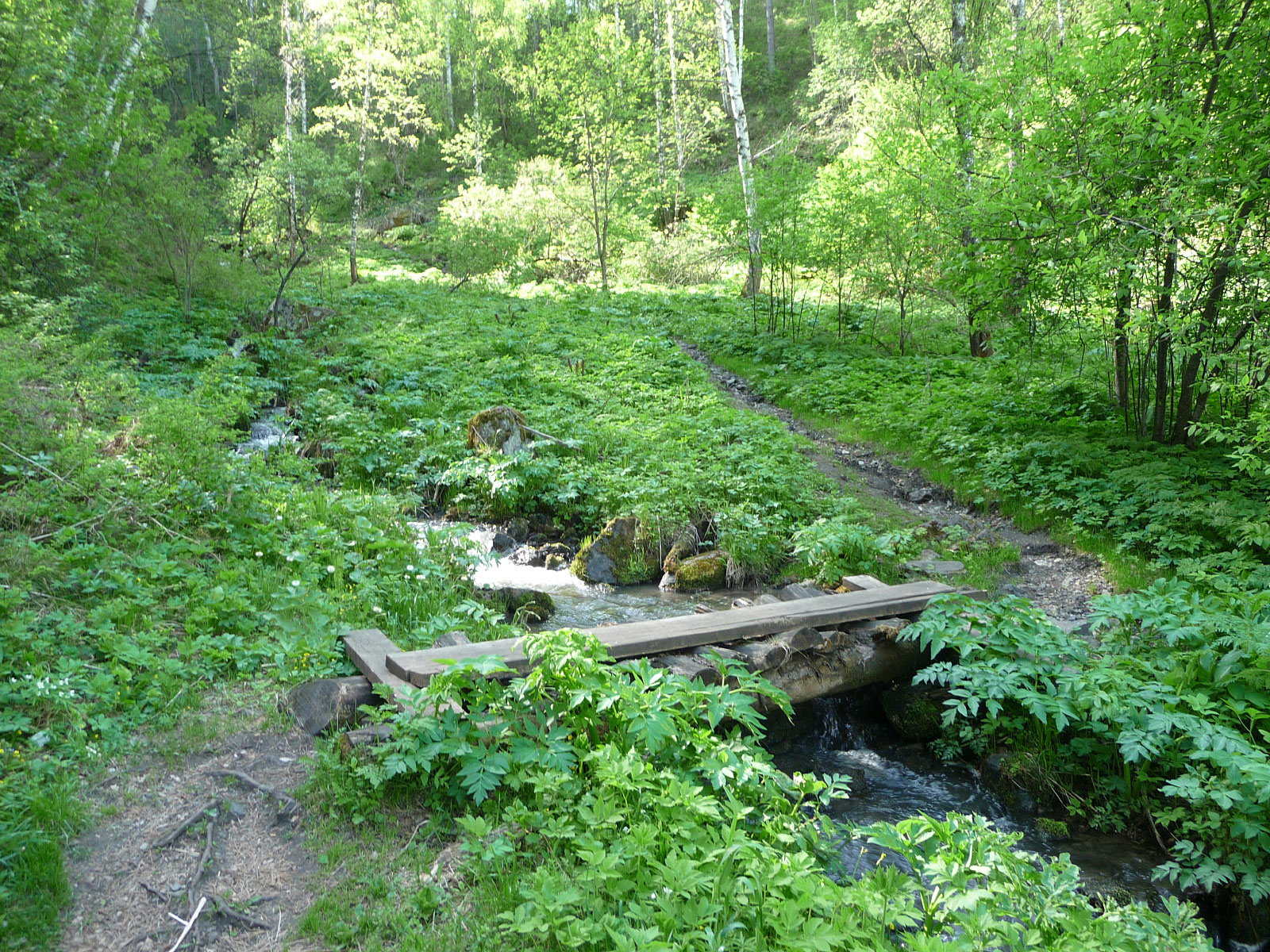 Cheremshanka (Черемшанка)